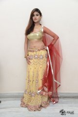 Sony Charishta at Seenugadi Love Story Movie Audio Launch